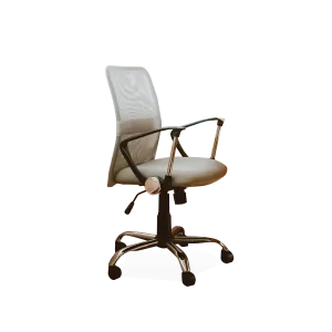 HOME working chair with armrest